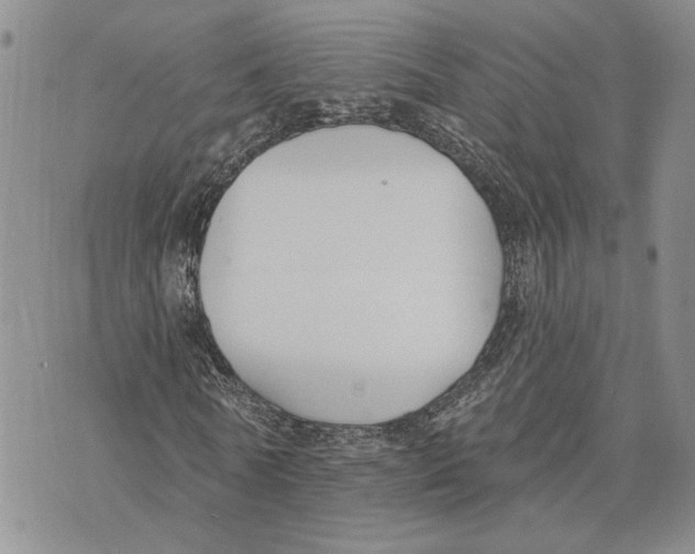 X0000073710770200608311754