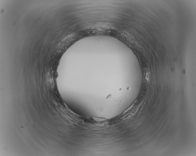 X0000073710771200608311754