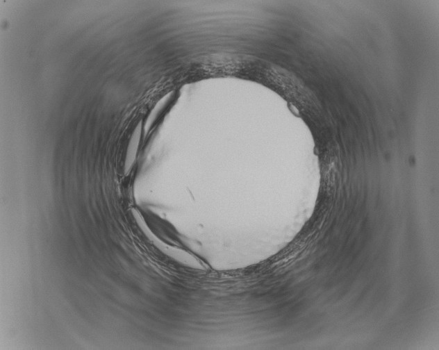 X0000073710772200608311753