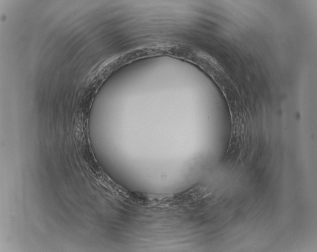 X0000073710773200608311753