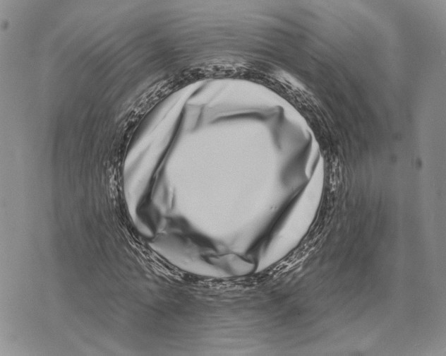 X0000073710774200608311753