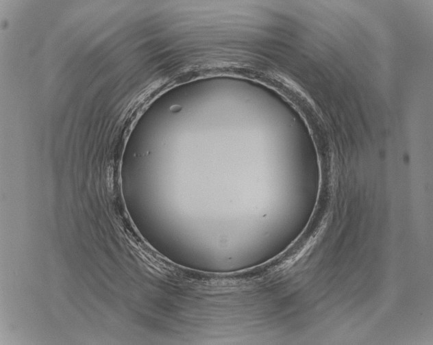 X0000073710777200608311753