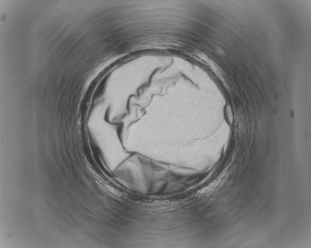 X0000073710779200608311753