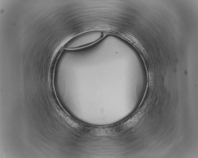 X0000073710780200608311753