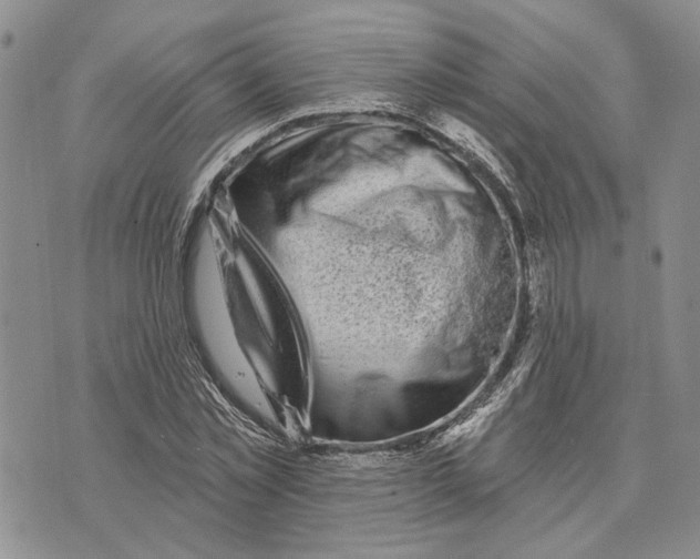 X0000073710781200608311753