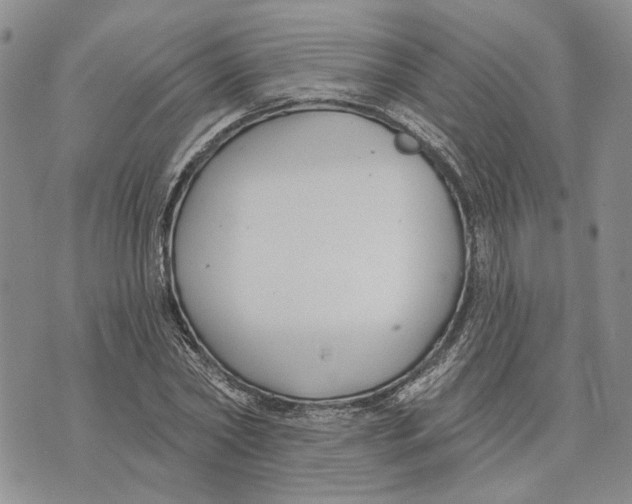 X0000073710782200608311753