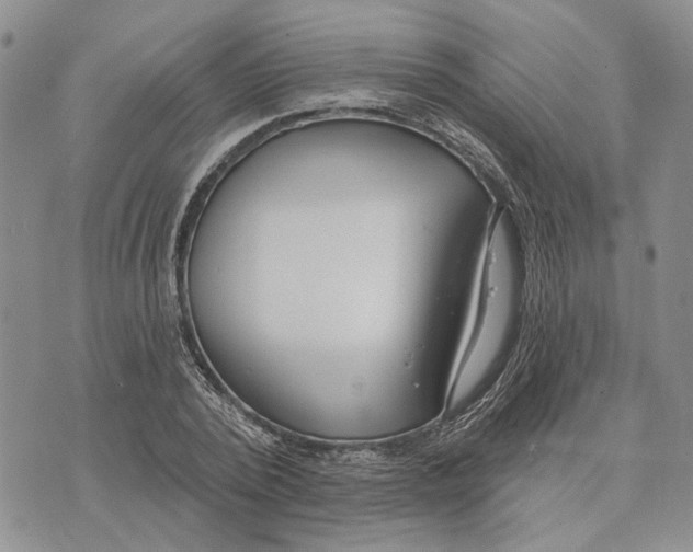 X0000073710784200608311753