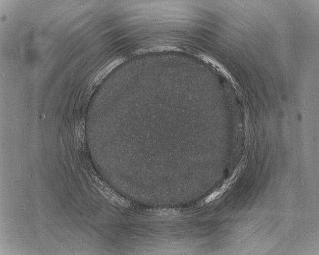 X0000073710785200608311753