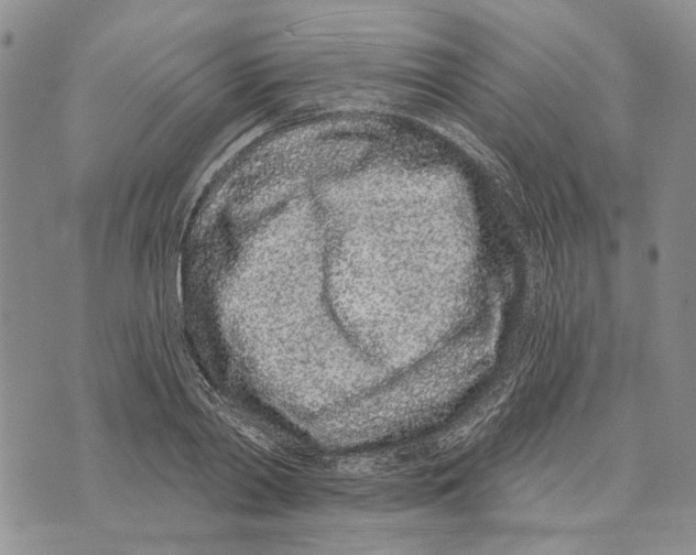 X0000073710790200608311753