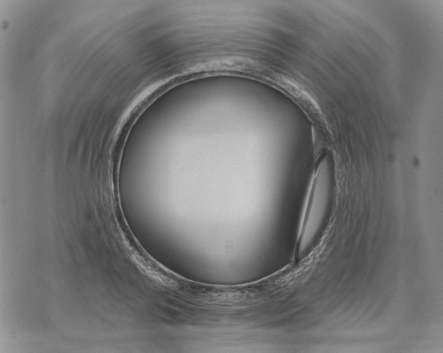 X0000073710792200608311753