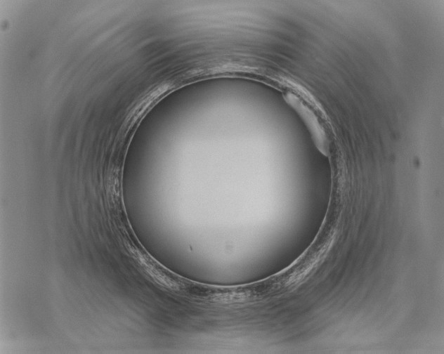 X0000073710793200608311753