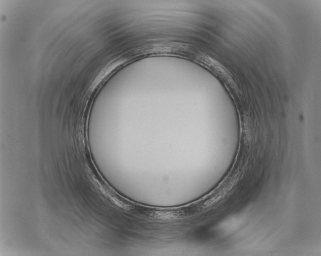 X0000073710794200608311753