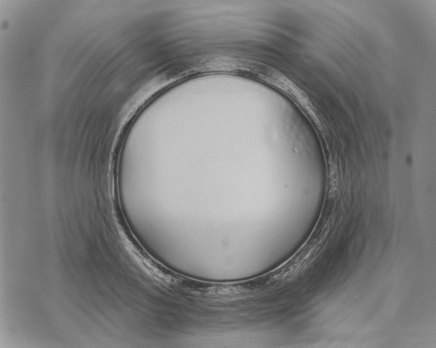 X0000073710795200608311753