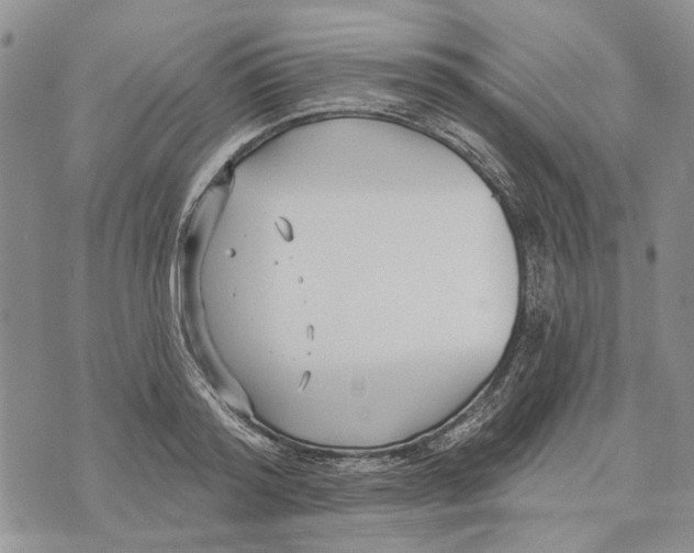 X0000073710796200608311753