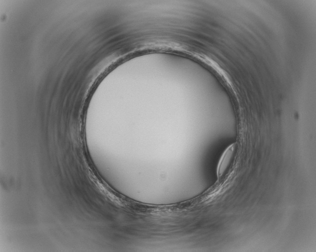 X0000073710799200608311753