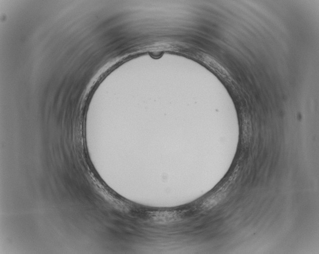 X0000073710800200608311753