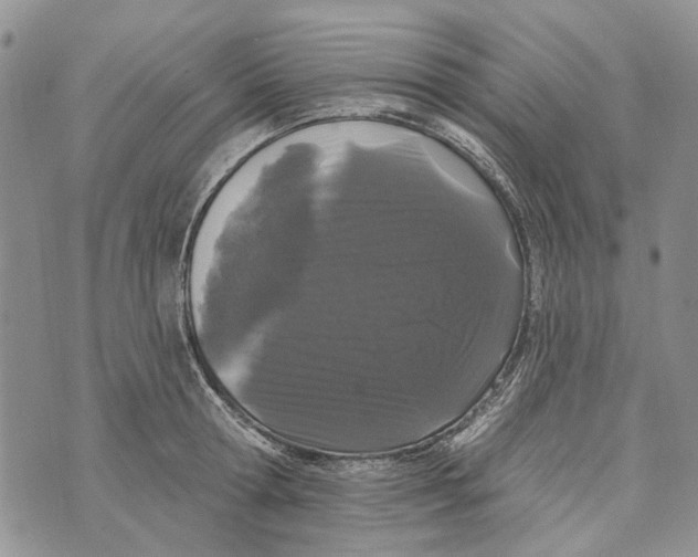 X0000073710802200608311753