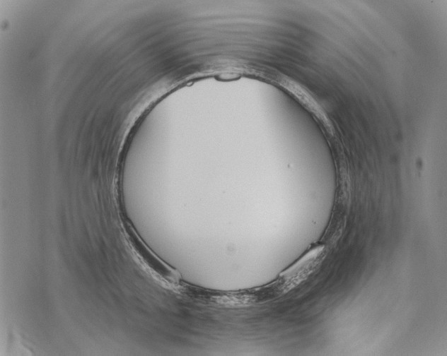 X0000073710805200608311753