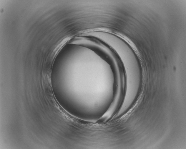 X0000073710809200608311753