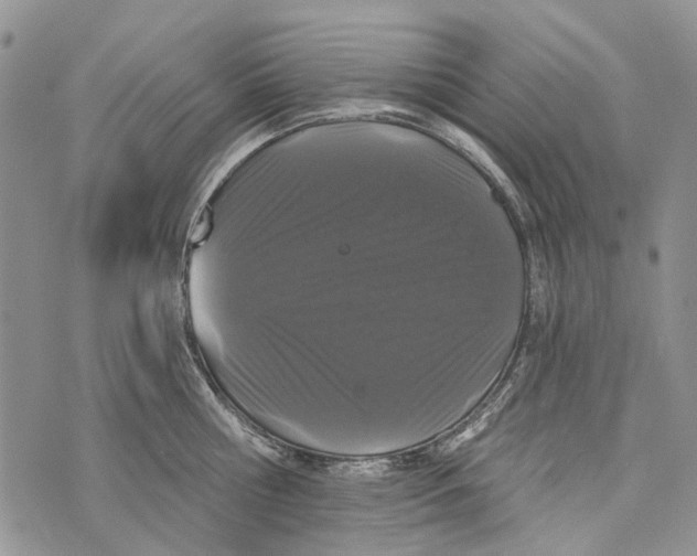 X0000073710810200608311753