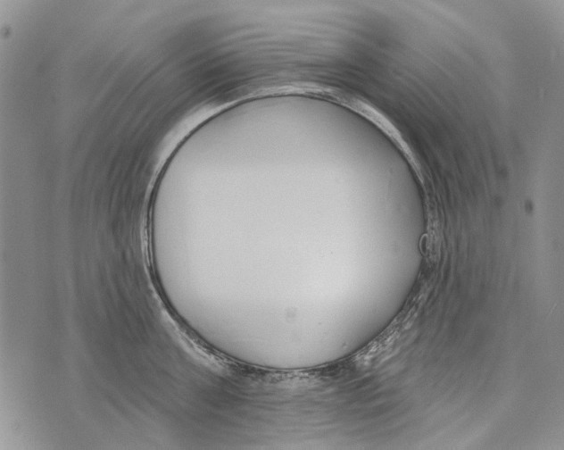 X0000073710811200608311753