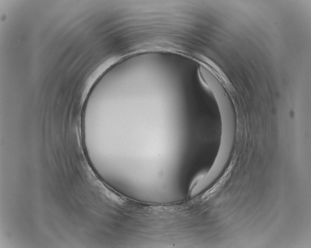 X0000073710812200608311753