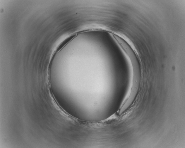 X0000073710815200608311753