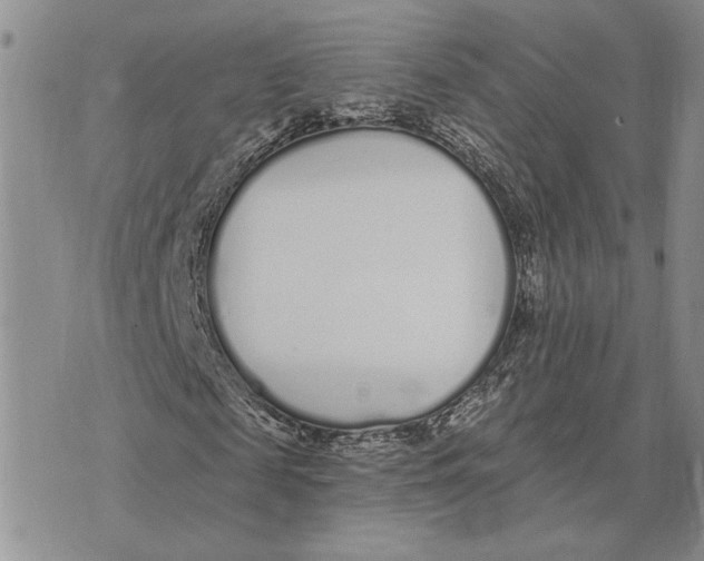 X0000073710817200608311752