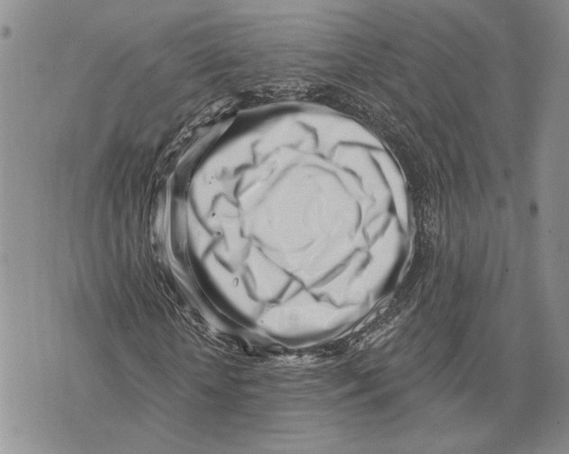 X0000073710818200608311752