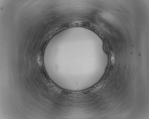 X0000073710819200608311752