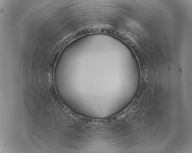 X0000073710821200608311752