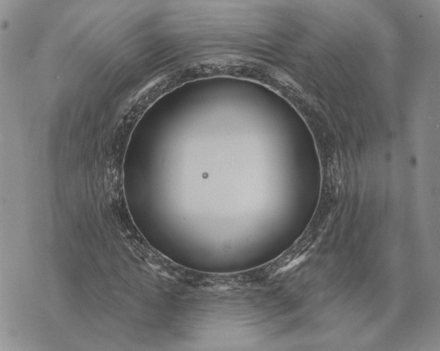 X0000073710822200608311752