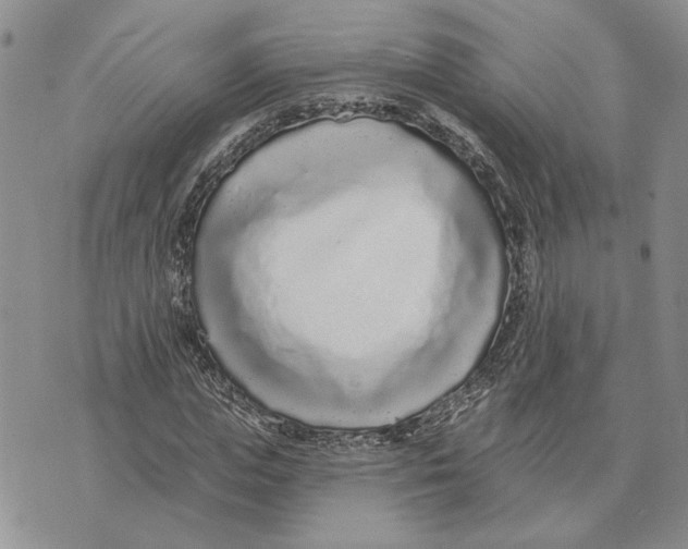 X0000073710823200608311752