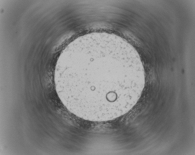 X0000073710824200608311752