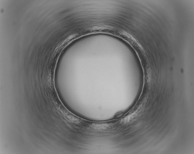 X0000073710825200608311752