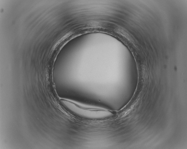 X0000073710826200608311752