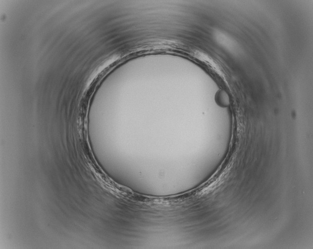 X0000073710827200608311752