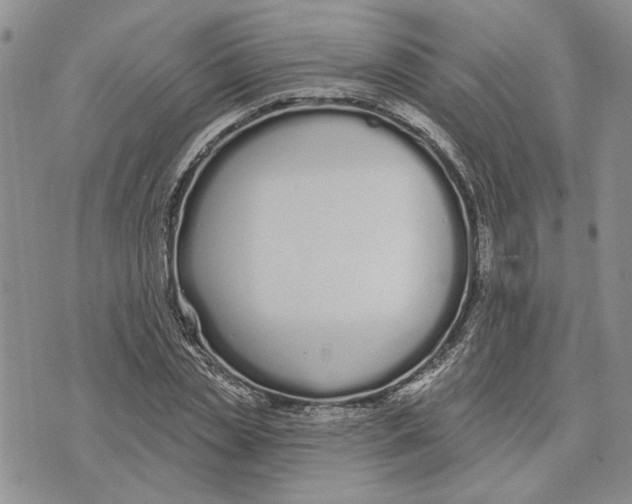 X0000073710829200608311752