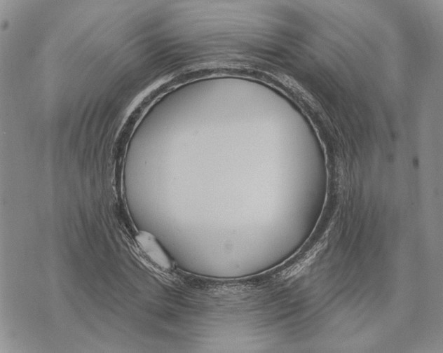 X0000073710830200608311752