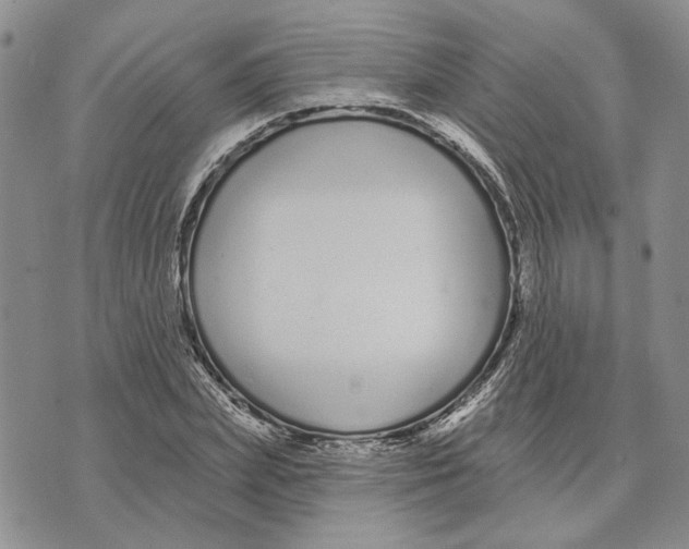 X0000073710831200608311752