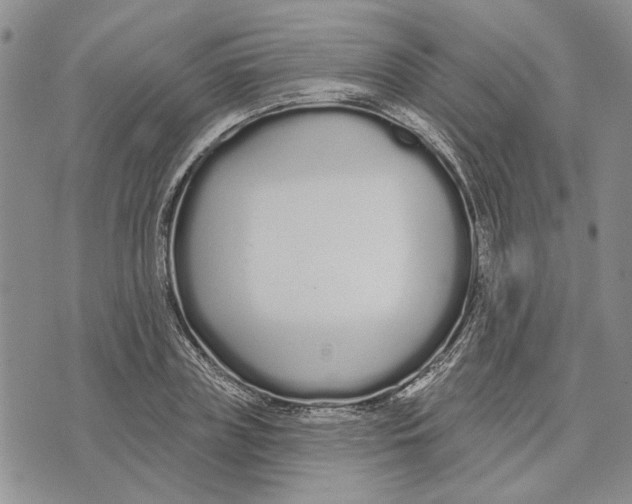 X0000073710835200608311752