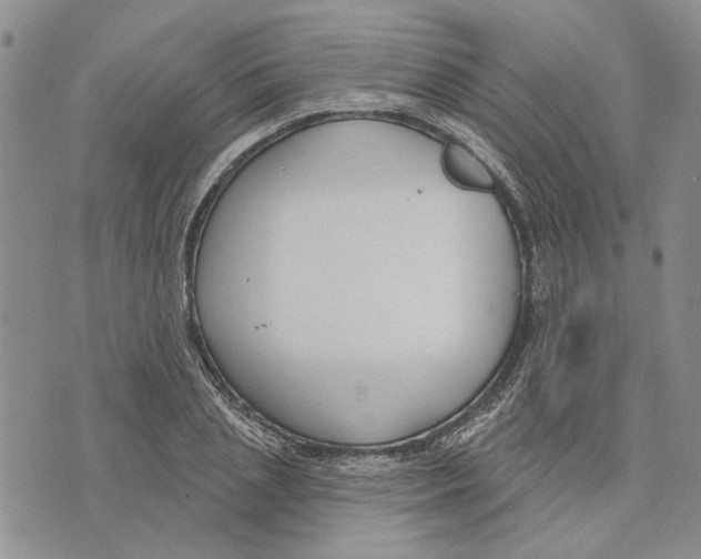 X0000073710837200608311752