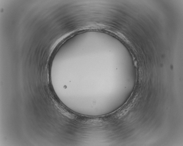 X0000073710838200608311752