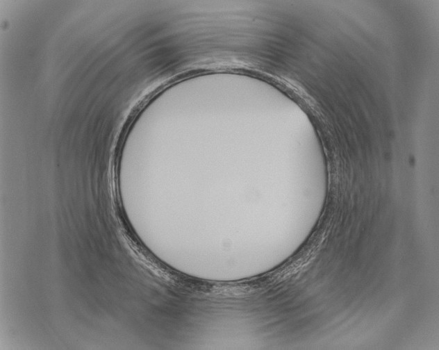 X0000073710840200608311752