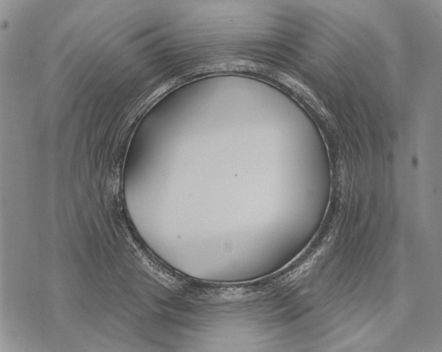 X0000073710841200608311752