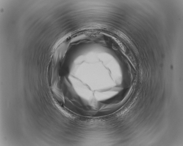 X0000073710842200608311752