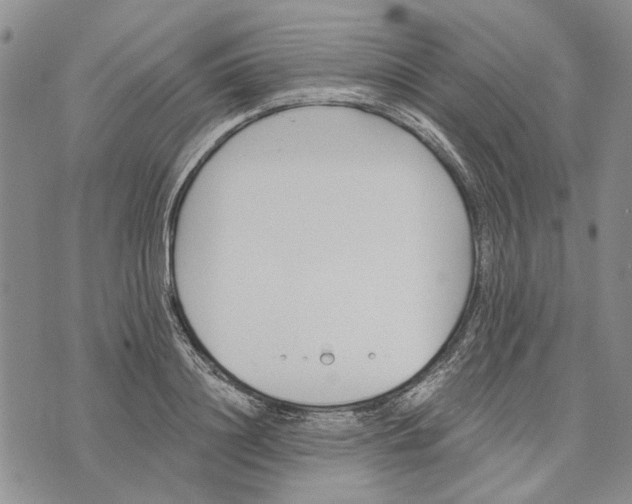 X0000073710844200608311752