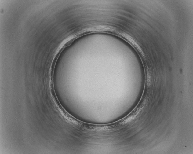 X0000073710845200608311752