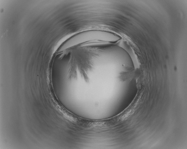 X0000073710846200608311752