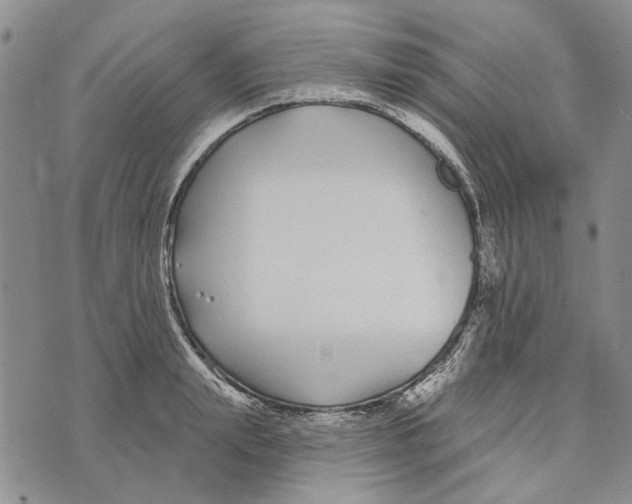 X0000073710847200608311752